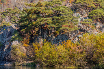 River shore with trees in beautiful fall colors
