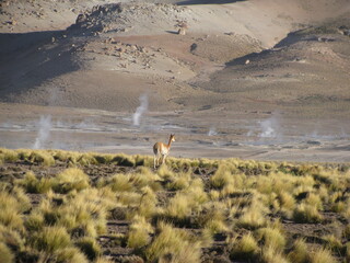 San Pedro Atacama Chile