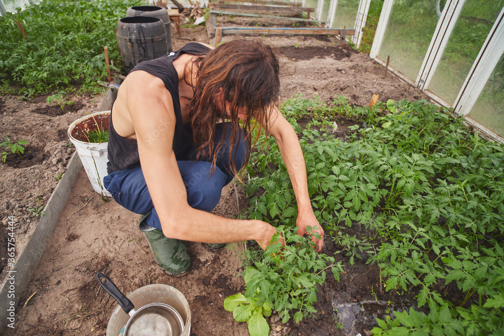 Sticker Young Caucasian rural man watering seedlings in his greenhouse.