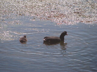 San Pedro Atacama Chile