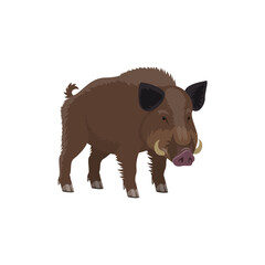 Fototapeta premium Boar wild animal vecor isolated icon. Zoo predatory mammal and hunt trophy aper hog