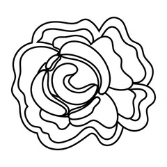 beautiful rose flower garden line style icon