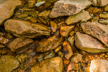 Closeup of shallow stream