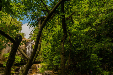 Obraz premium Waterfall framed by tree branches