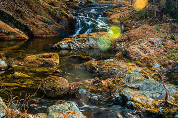 Small mountain stream waterfall