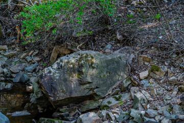 Large granite boulder in wilderness.