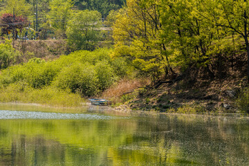 Fototapeta na wymiar Landscape of river with small boat next to riverbank