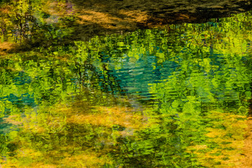 Reflections in a shallow stream