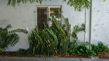 Greenery Wall