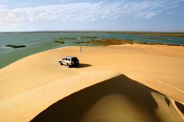Beautiful oasis, charming yellow lake, sand dunes and water