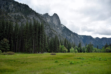 Fototapeta na wymiar ヨセミテ渓谷の散策路、ヨセミテ国立公園、カリフォルニア州アメリカ合衆国