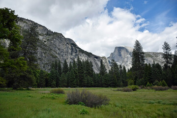 Obraz premium ヨセミテ渓谷の散策路、ヨセミテ国立公園、カリフォルニア州アメリカ合衆国