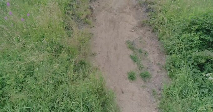 Russian landscape. Beautiful views of an ancient mound on the Bank of the Volkhov river, taken from a quadcopter on a summer day. According to legend, this hill is the grave of the "prophetic" Oleg, R