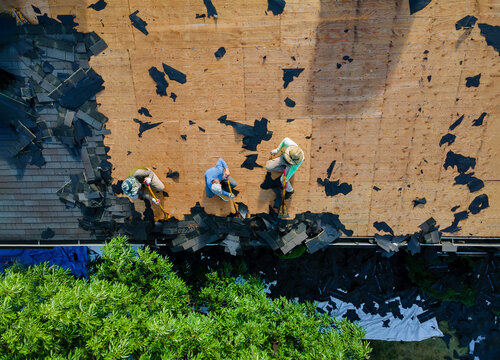 Roofer replace shingle that has been damaged and needing replacement of residential building