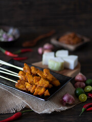 Singapore Satay on Dark Background with Copy Space. Indonesian Sate Dark Food Photography.  Satay served with rice cakes, cucumbers and onions.