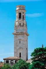 Fototapeta premium high tower Santa Anastasia in Verona. Blue sky and clear in the background, roofs and green trees near and around tawer