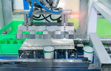 Industrial yoghurt packaging line in milk plant