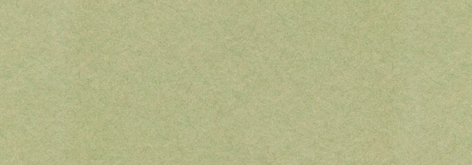Fototapeta premium Olive green paper texture background