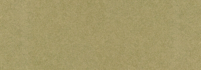 Fototapeta na wymiar Olive green paper texture background