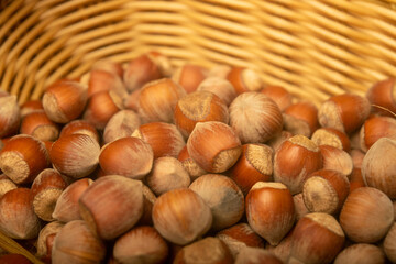 Hazelnuts in a wicker basket. Surface texture. Close up.