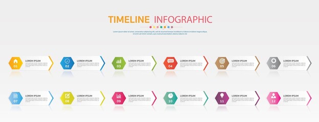 Timeline for 12 months or 1 year, Infographic hexagon template for business.road map.