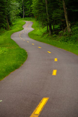 winding empty bike lane in a remote canada forest 