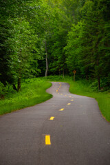 Fototapeta na wymiar Recreation forest bike lane at Mont-Tremblant 