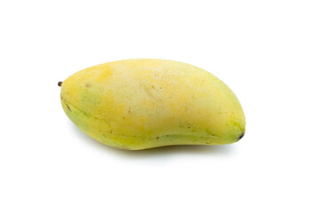 Thai Mango (cultivars : Keaw Ka Min) that can be ingredient in many delicious Thai dish menu.