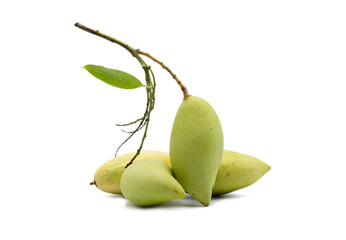 Thai Mango (cultivars : Keaw Ka Min) that can be ingredient in many delicious Thai dish menu.