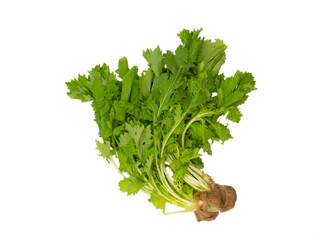 Lettuce Mizuna, an organic and healthy vegetable on white background