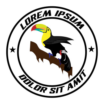toucan bird illustration logo vector. toucan bird emblem logo