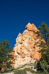 Fototapeta na wymiar Bryce canyon