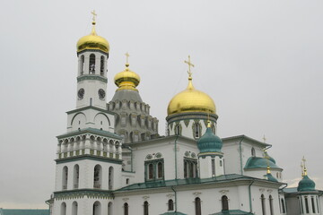 Fototapeta na wymiar Russia, Moscow region, New-Jerusalem Monastery, July 2020 (71)