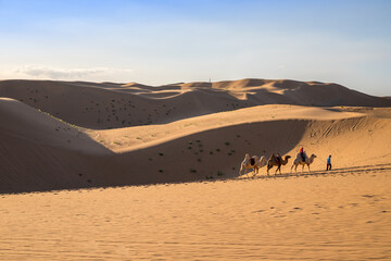 visitors riding camels in XiangshaWan, or Singing sand Bay, in hobq or kubuqi desert, Inner Mongolia, China