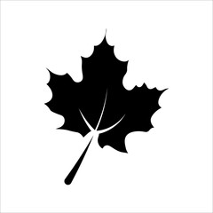 Fototapeta premium Maple leaf canadian icon