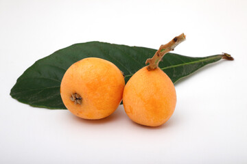 白い背景にビワ