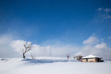 snow-covered landscape