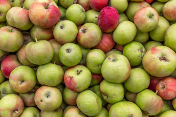 A lot of ripe juicy apples on the counter in the store. Diet and healthy eating. Top view.