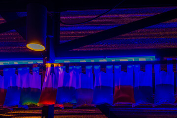 Plastic bags containing colored liquid