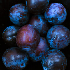 Closeup dark purple plum background.