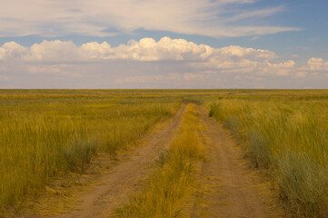 Fototapeta na wymiar Landscape, prairie road. Beautiful clouds, high burnt grass. Steppe and sky