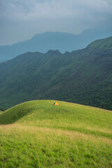 Obraz premium green field and mountains