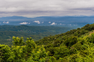 Landscape of forest covered mountains