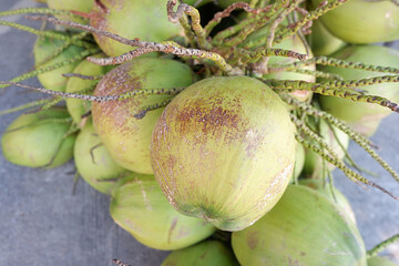 green coconuts 