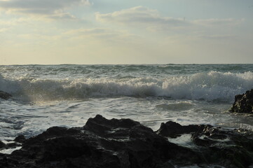 sea 
beach
ocean
summer
waves