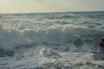 sea 
beach
ocean
summer
waves