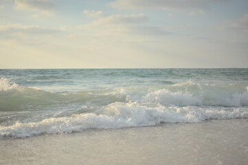 sea 
beach
ocean
summer
waves