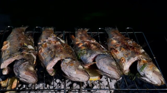 BBQ Fish. Cooking seafish with aromatic spices on barbecue grill plate. Sea bass or grouper fish grilled over charcoal. Baking roasting marinated delicious seafood in summer garden outdoors 4K