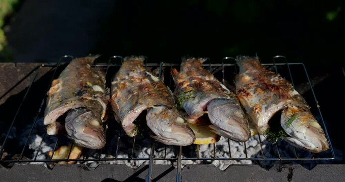 Sea bass or grouper fish grilled over charcoal. Close-up shot cooking seafish with aromatic spices on barbecue grill plate. Baking roasting marinated delicious seafood. BBQ  in summer garden outdoors 