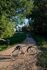 Fototapeta premium vieux vélo rouillé sur chemin de terre entouré d'une forêt dense et ciel bleu au sud de l'île du Ceylan, Sri Lanka